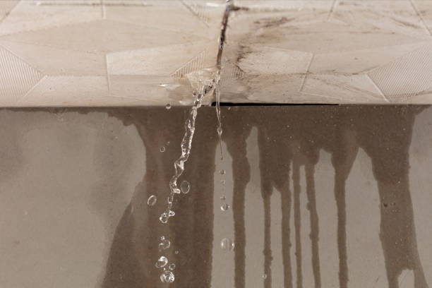 Professional Structural Drying technician working in Borrego Springs, CA